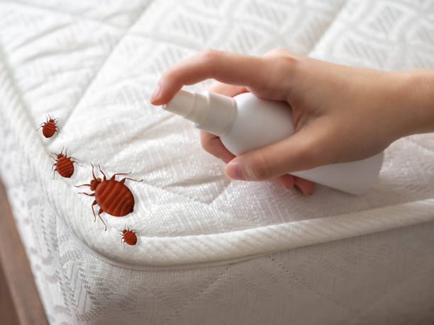 Best Affordable Pest Control Services  in Mount Carmel, OH