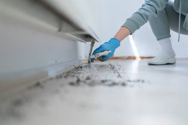 Best Best Pest Control Companies  in Mount Carmel, OH